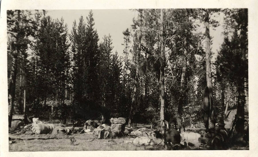 Supplies unloaded to the ground and a group of men rest in a forested area.