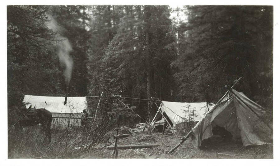 Three tents, horses, and men at a camp site.