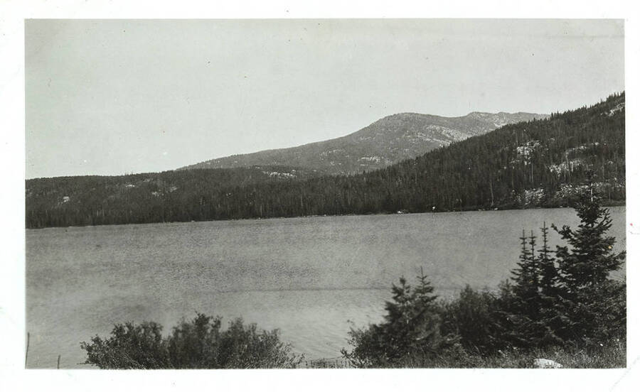 View of a lake with forests across the way.