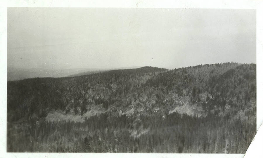 View of rolling forested hills.