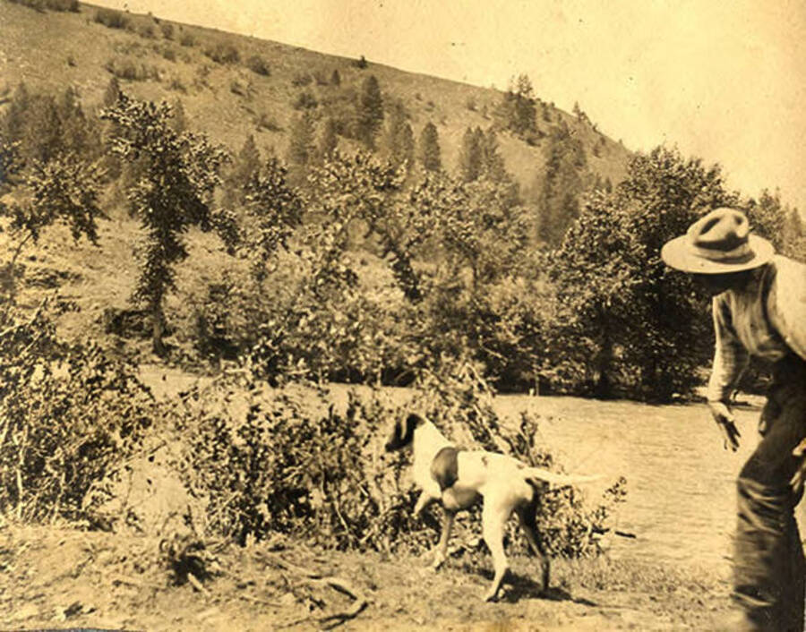 A man stands behind Juno the dog, hunting near the Clearwater River. The photo caption reads: 'Looking for game.'