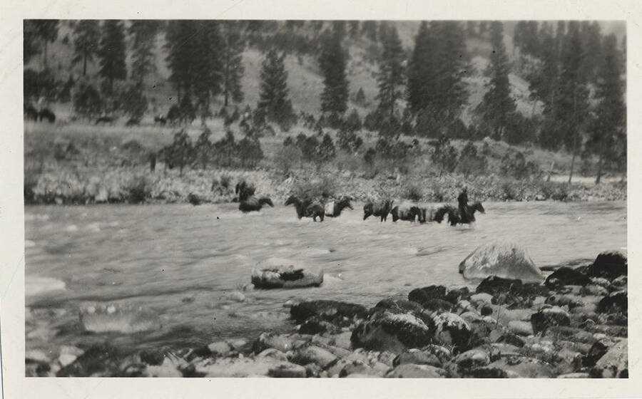 Horses attempt to cross the river amongst some rapids.