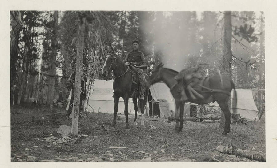 Horses and men stand near tents at the camp site.