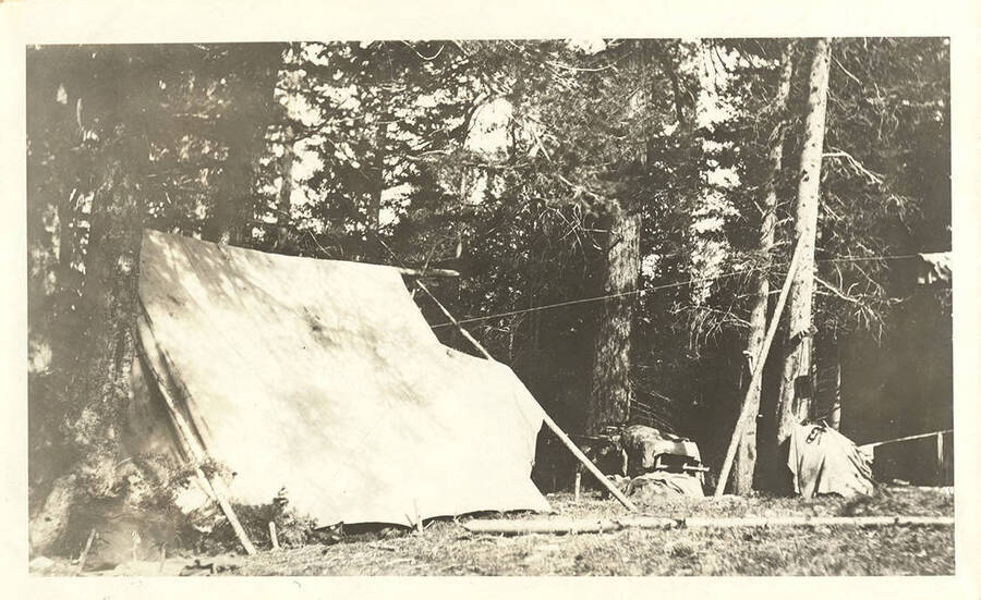 Canvas tent with a clothesline in a forested area.