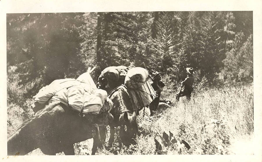 Two hunters hold rifles staring out into the distance. Three horses stand with supplies packed to their backs.