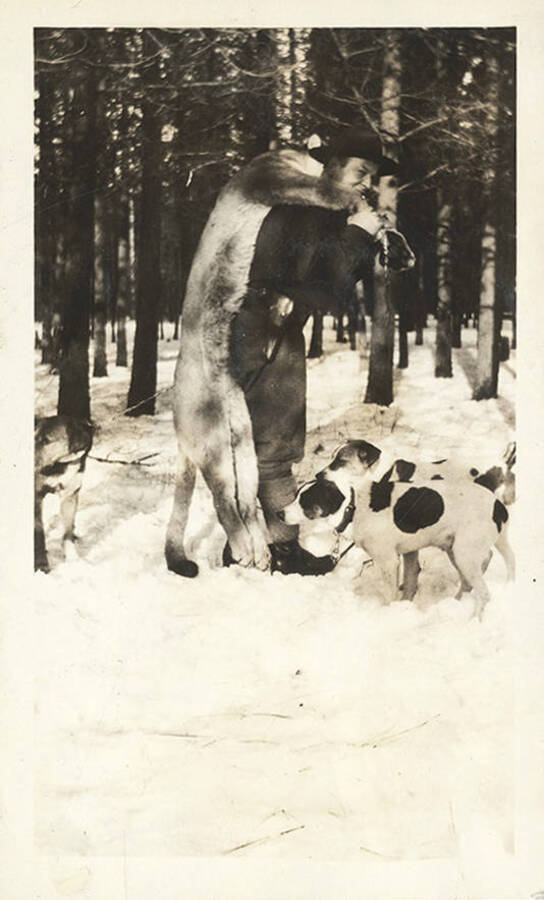 A hunter carries a harvested cougar through the snow with three dogs at his feet.