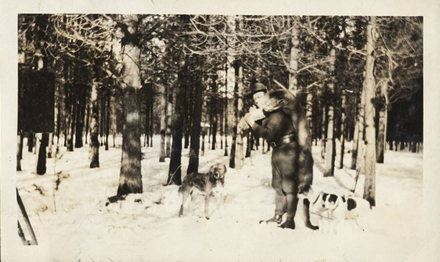 A hunter carries a harvested cougar through the snow with three dogs at his feet. A rifle leans against a tree in the background.
