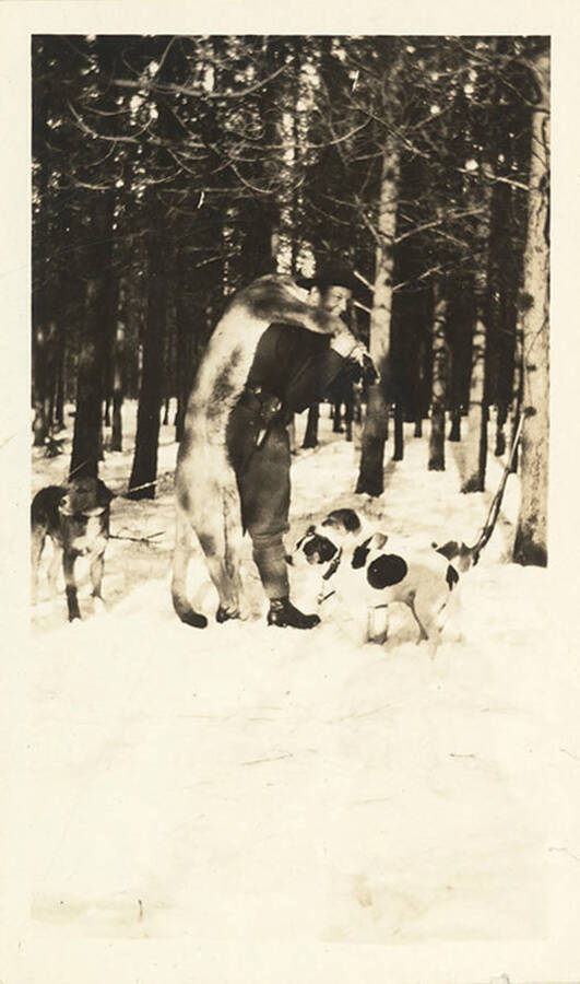 A hunter carries a harvested cougar through the snow with three dogs at his feet. A rifle leans against a tree in the background.