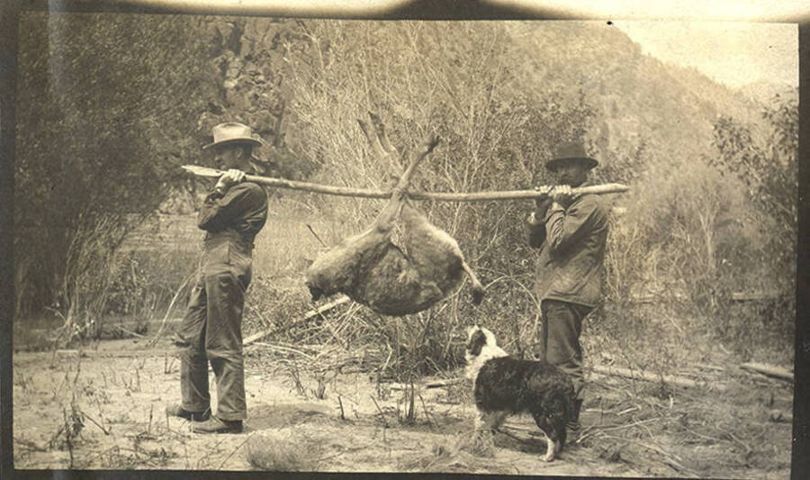 Two men carry a harvested deer using a pole. A dog sits at their feet with a river in the background.