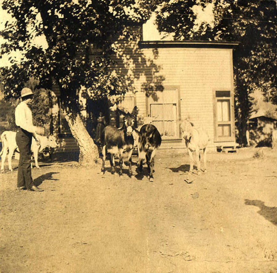 Lillburn "Tude" Stonebraker and the family pet burros stand outside the Stonebraker home in Stites, Idaho.