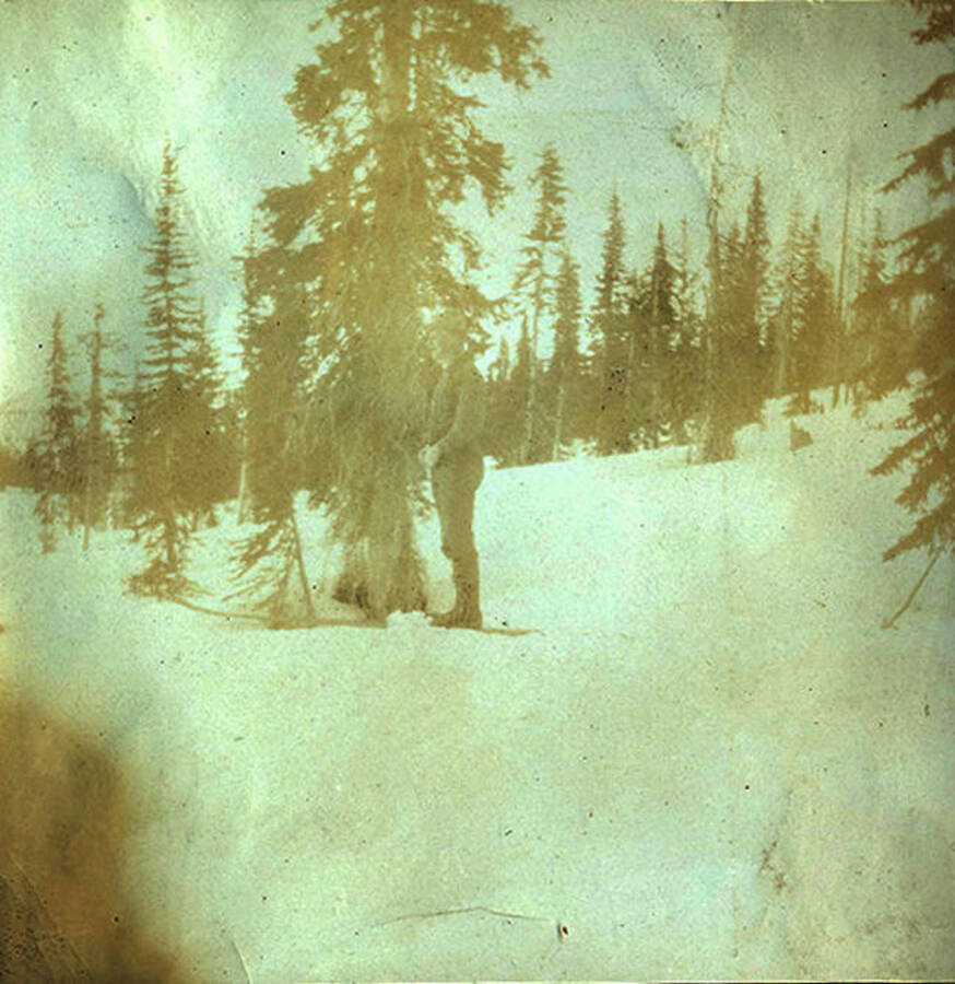 A man waits in long skis in a snowy area.