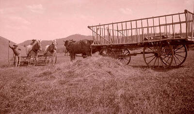 W. A. Stonebraker (Bill) on far left holds a pitchfork. Another man sits at the reigns of two horses pulling a hay tedder. More horses pull an empty hay wagon.