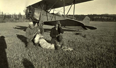 Pilot Nick Mamer (left) with a mountain goat and an unidentifid man with a bighorn sheep pose in front of an airplane in the meadow near the Stonebraker Ranch.