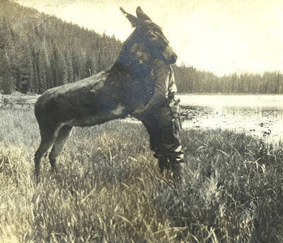 Sumner Stonebraker with Bosco the mule near the river.