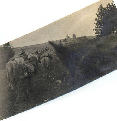 Pack train starting out for Thunder Mountain.