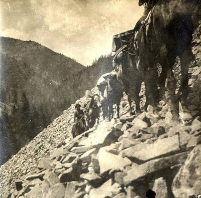Pack train climbs upward through a scree field along a mountain side.