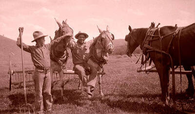 Bill (Adolph) Stonebraker, stepson of Al, pets a horse while holding a pitchfork. Other horses and an unidentified man sit nearby. The mules were named Smokey and Mamie.