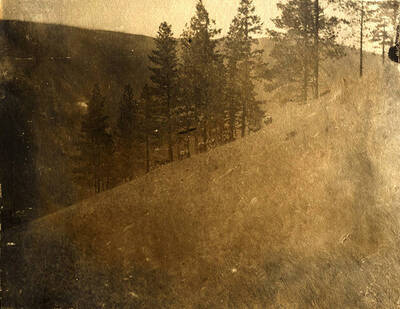 A horse pack train climbs a hill in the distance.