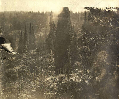 Overlook near the Middle Fork of the Clearwater River.