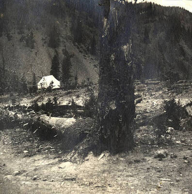 Canvas tent in the background.