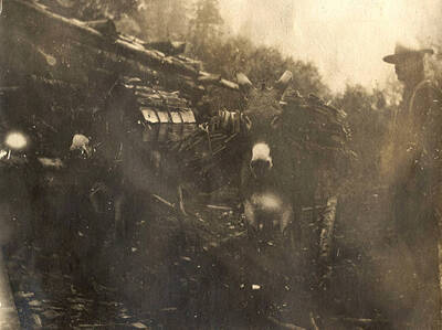 Part of the pack train stand loaded with supplies and wood bundles while a man stands to the right.