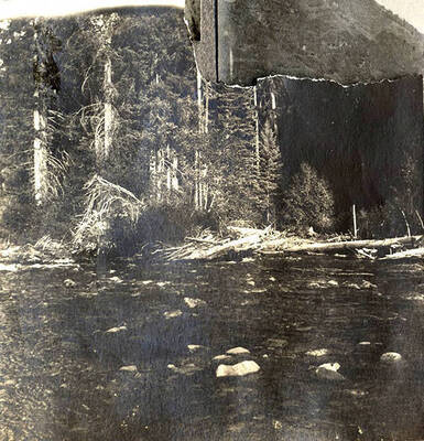 Trees surround a fast moving area of the river.