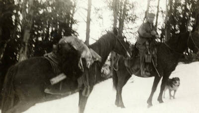 A harvested coyote lays on the back of a horse. A man sitting horseback and a dog stand to the right. Near Roosevelt, Idaho.