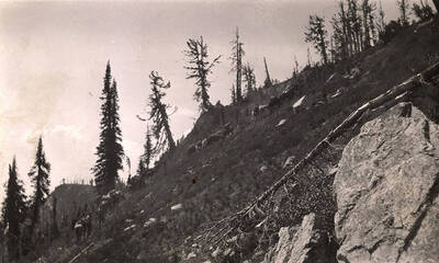A pack train of horses and men follow the trail on a hill.