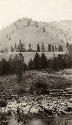 A view of the Clearwater River and surrounding area.