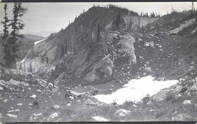 A pack of horses grazes in a snowy valley with a view of the mountains in the background.