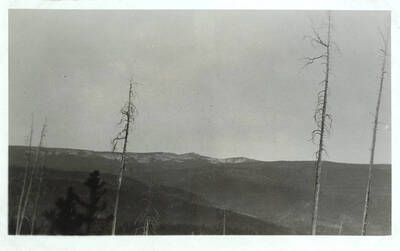 View from the trail of a forested area with mountains in the background.