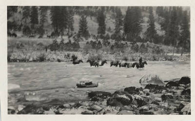 Horses attempt to cross the river amongst some rapids.