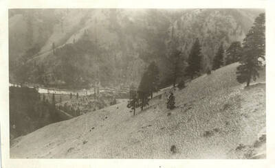 View from a hillside of the river flowing below.