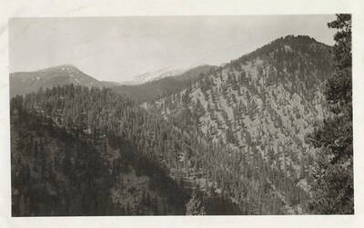 View from the trail of snow-capped mountains with forested hills in the foreground.