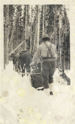 A dog sits in the snow waiting for the pack to catch up. Stonebraker pushes behind the sled through the snow.