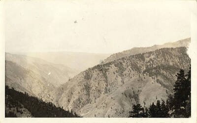 View from the trail of mountain covered in trees.