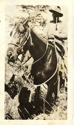 Man sits on top of a horse holding the reigns.