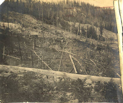 Near the Stonebraker Ranch in the Chamberlain Basin.