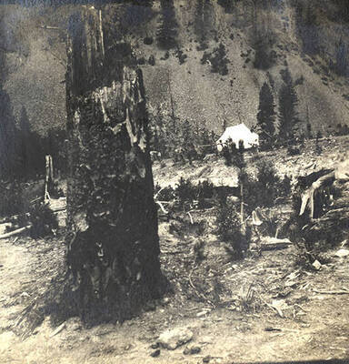 Canvas tent in the background.