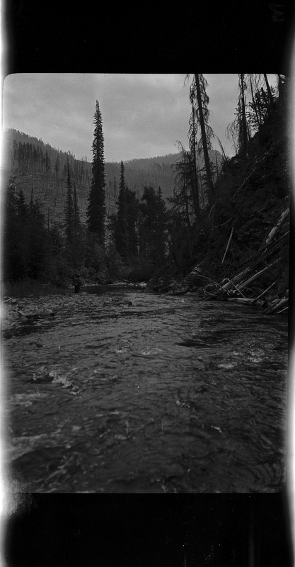 Photo of the North Fork of the Coeur d'Alene River. The negative is slightly damaged along the sides, but the river, one of the river banks, and the surrounding trees are all visible.