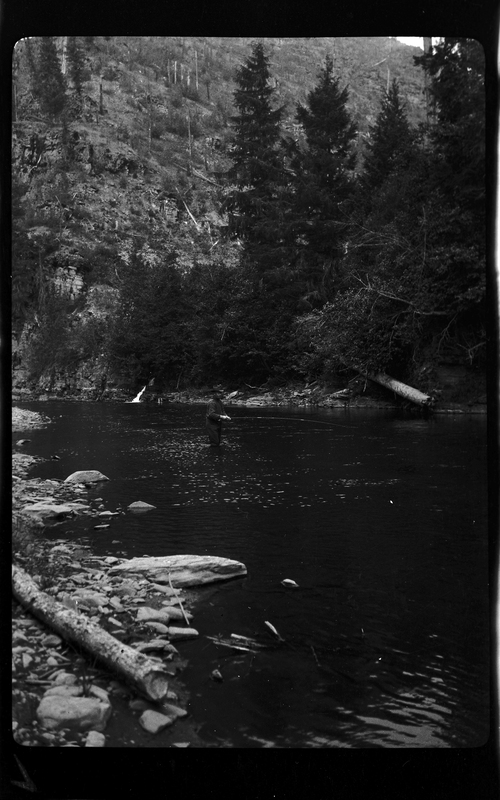 Photo of an unidentified man standing in the water of the North Fork of the Coeur d'Alene River while fishing. He is standing several feet from the riverbank and has his line cast in the water.