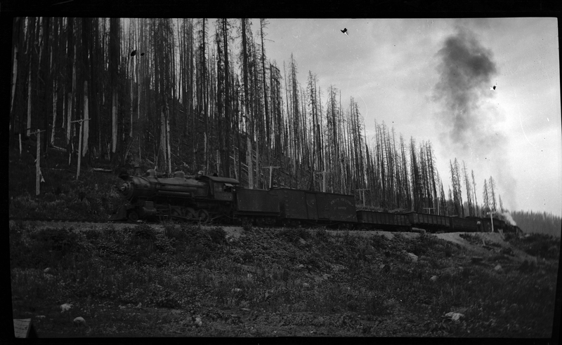 Photo of a train passing through a wooded area presumably near the North Fork of the Coeur d'Alene River. The Coeur d'Alene River is not visible.