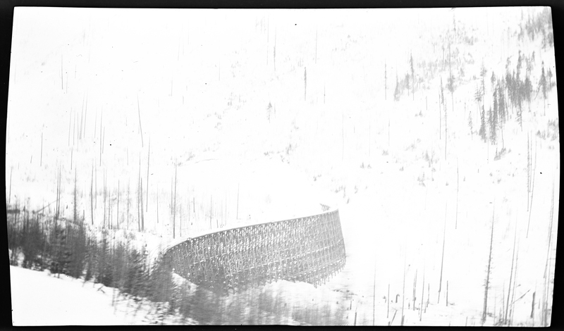 Damaged negative. Damage leaves little visible in the photo, but trees and some sort of built structure, possibly a bridge, is visible.