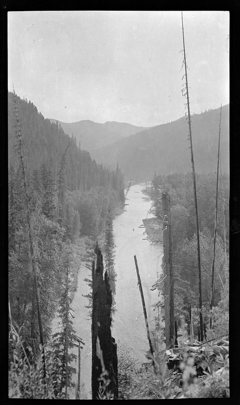Photo of an unidentified river taken from a high vantage point. Both sides of the river are easily visible and it is surrounded by trees. The river curves in the distance and becomes obscured by the landscape.