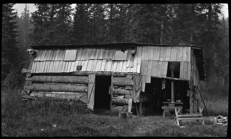 Photo of a log cabin in the woods. The door is open and what appears to be the kitchen is not fully enclosed. There are trees in the background.
