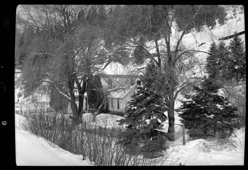 Photo of what appears to be a house in the snow. Described as "Standard Dairy, E. F. Gentry." There is a heavy layer of snow on the ground and the house is surrounded by trees.