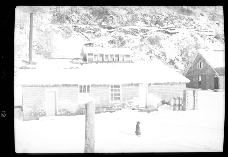 The negative is either damaged or overexposed, leaving little detail to be visible. The general outlines of two buildings are visible though, as well as what is likely a dog sitting in the snow. Described as "Standard Dairy, E. F. Gentry."