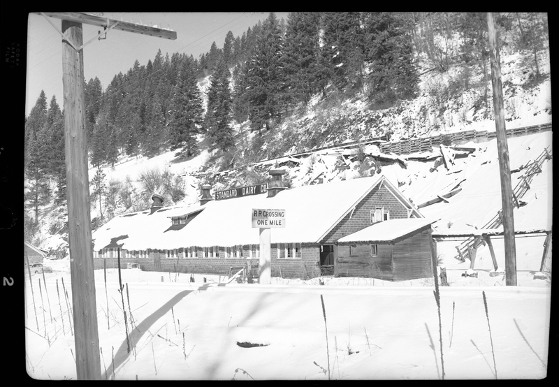 Photo of the Standard Dairy Building in the snow. There is a sign on the snow covered roof that reads "Standard Dairy Co" and another sign next to the building that reads "R R Crossing One Mile." The ground and surrounding area is covered in a heavy layer of snow, and trees are visible on the hill behind the building. Described as "Standard Dairy, E. F. Gentry."