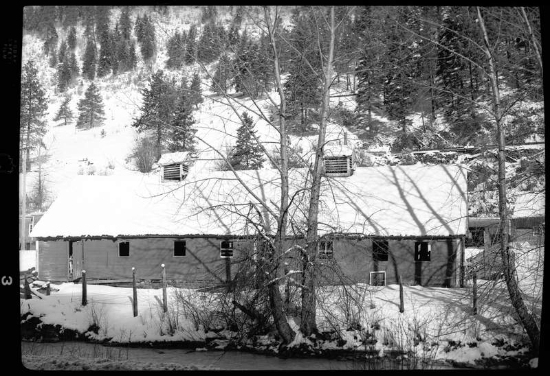 Photo of an unidentified building in the snow. Described as "Standard Dairy, E. F. Gentry." The building's roof and the ground surrounding it are covered in snow, and trees are visible on the hill directly behind the building. The photographer stands on the opposite side of a creek or small river that sits between the camera and the building.