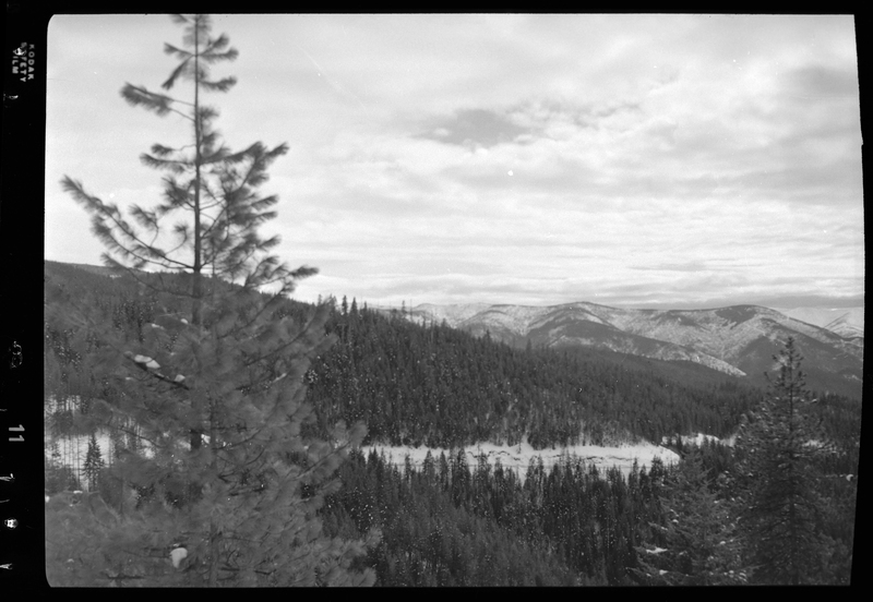 Photo overlooking Dobson Pass, Idaho. Previously described as "Dobsone Parr Outdoor scenes." Trees cover the mountains and there is visible snow on the ground and trees.